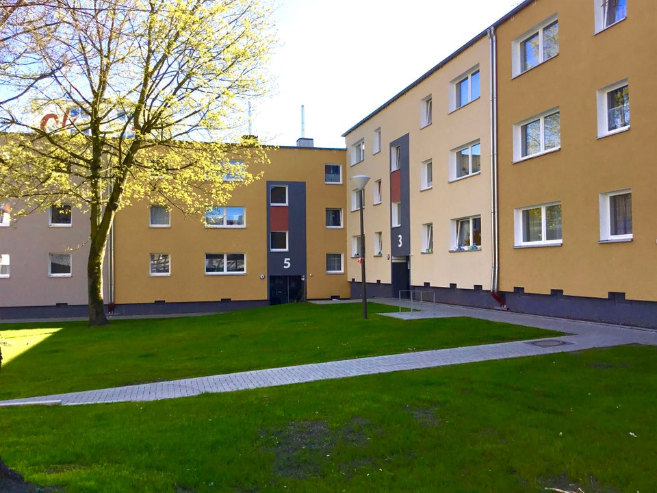 4-Zimmer-Wohnung frisch tapeziert - Foto 4