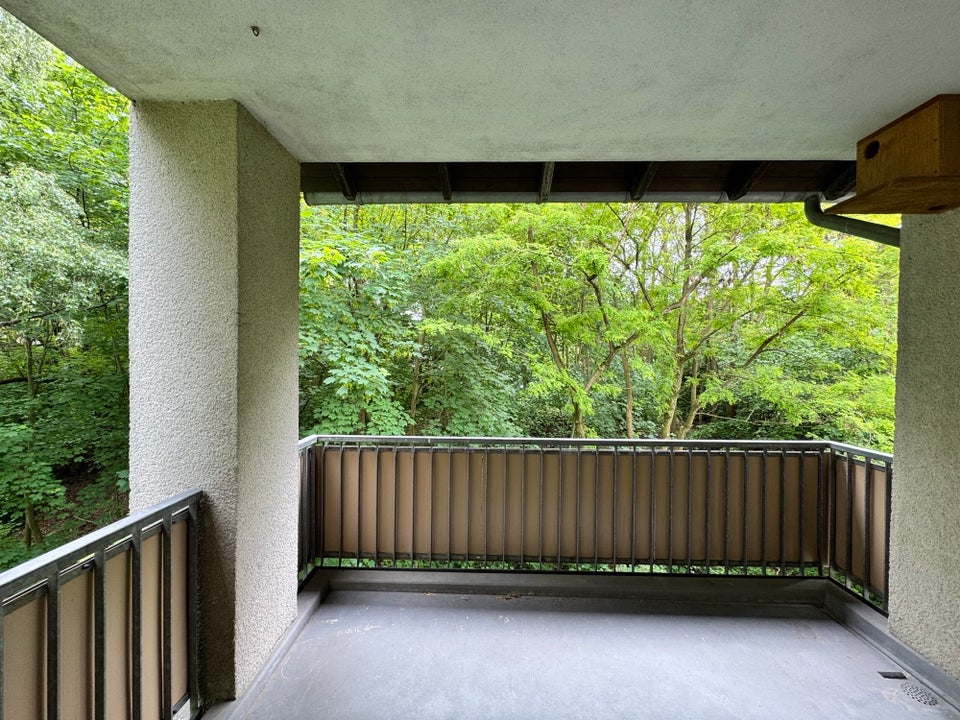 großzügige 3-Zimmer-Wohnung in schöner Lage - Foto 4