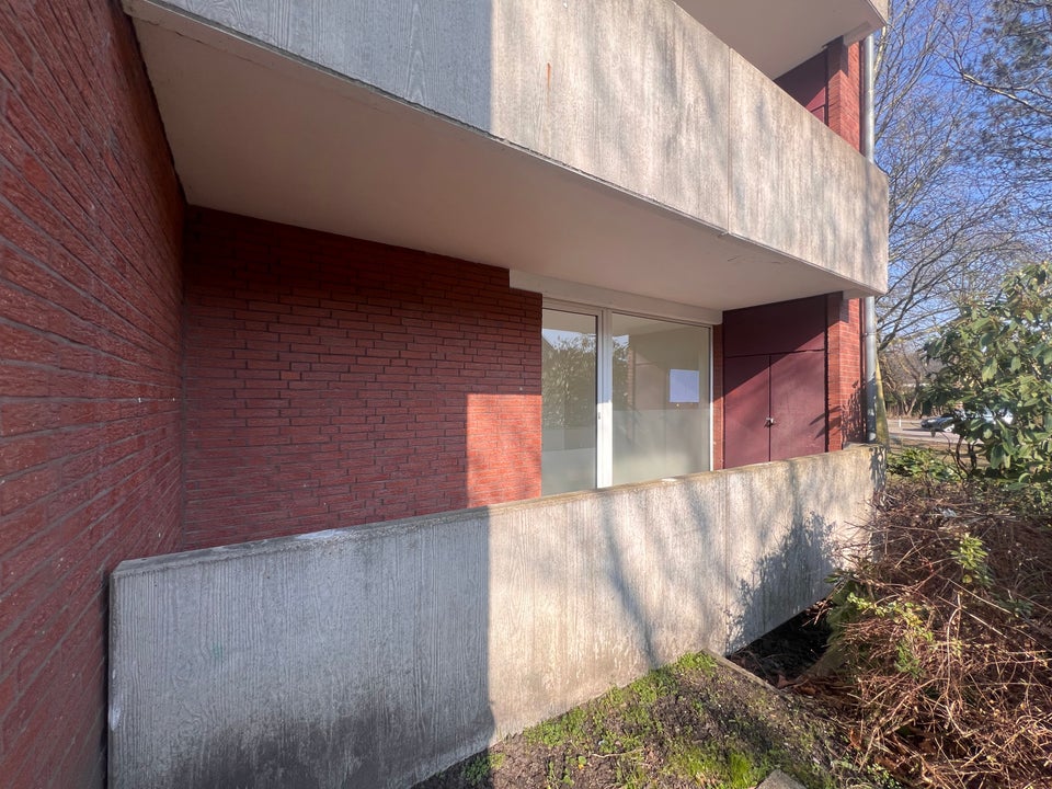 Schöne, renovierte 3-Zimmer-Erdgeschosswohnung mit Balkon! - Foto 4