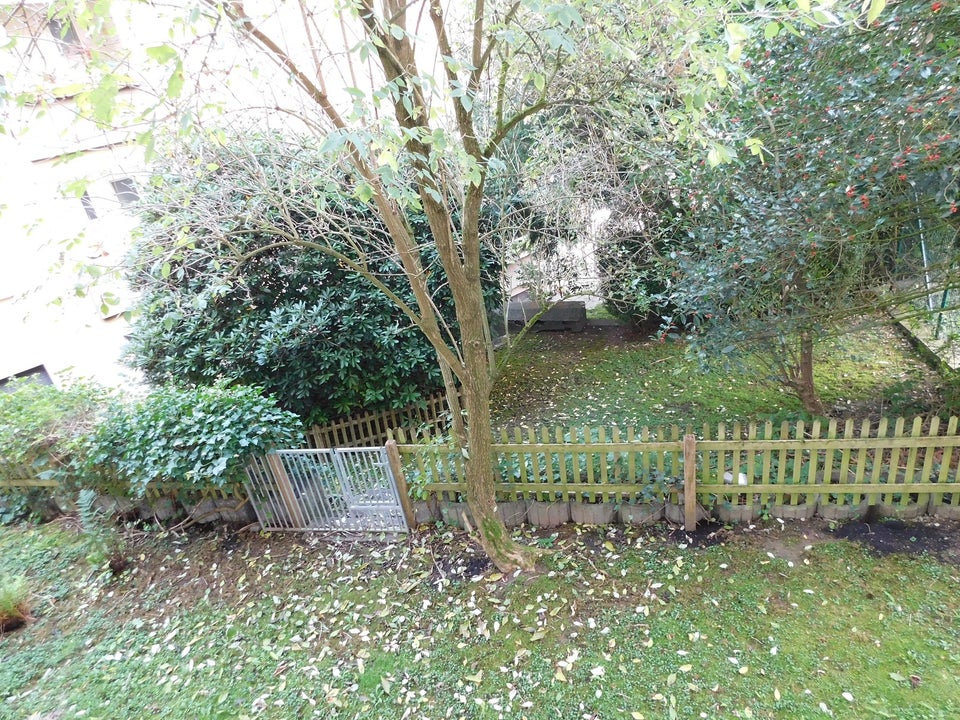 Hübsche 2-Zi.-EG-Whg. mit sonniger Loggia und EBK- auf Wunsch ab sofort frei - Foto 3