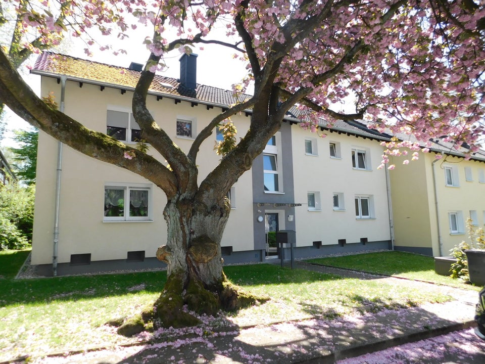 Überruhr-Holthausen: Renovierte 2-Zi.-Whg. mit großem Balkon - Foto 4
