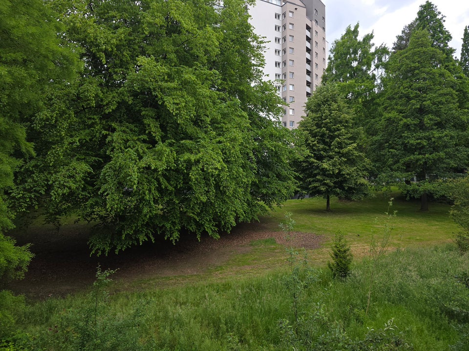 Attraktiv! Familienfreundliche 3- Zimmer-Wohnung - Photo 3