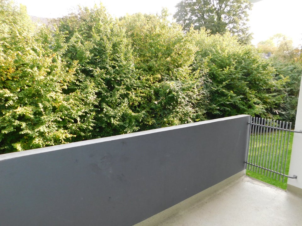 Kompl. renovierte 3-Zi.-EG-Whg. in ruhiger und grüner Nachbarschaft zu vermieten - Foto 3