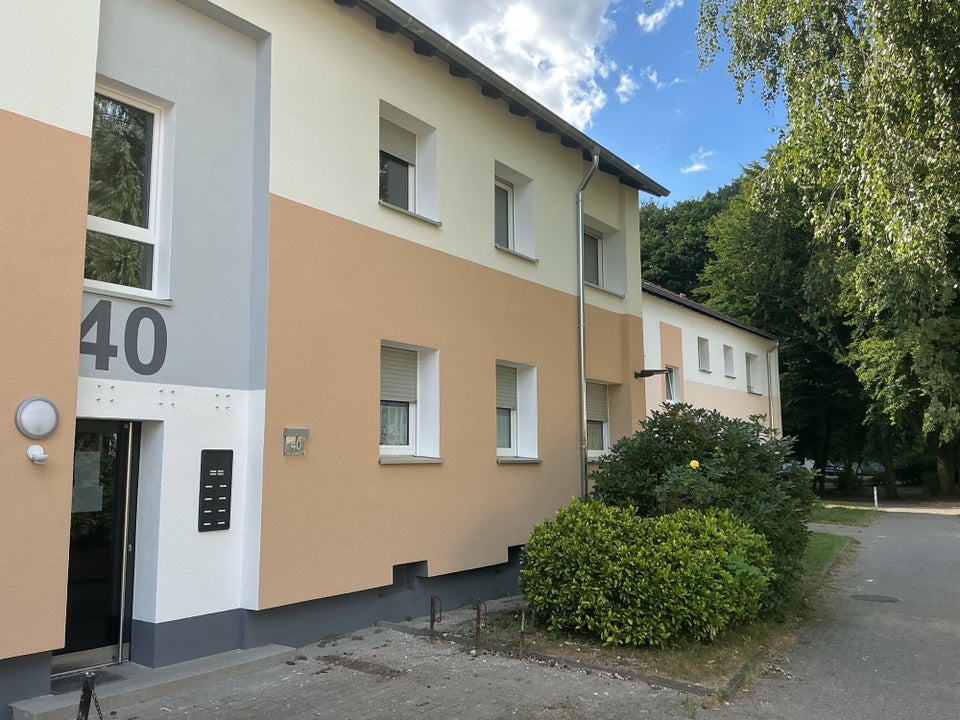 Frisch modernisiert: gut geschnittene 3-Zimmer Wohnung in ruhiger Lage! - Foto 2