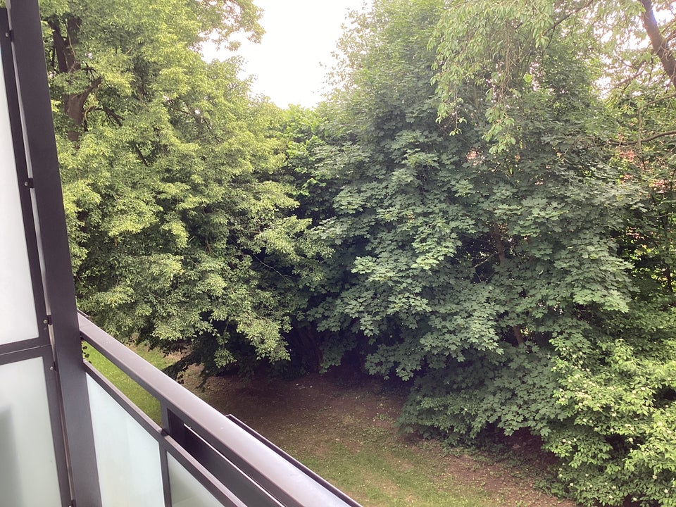 Schöne 3 Zimmer Wohnung mit Balkon, sofort anmietbar! - Foto 3
