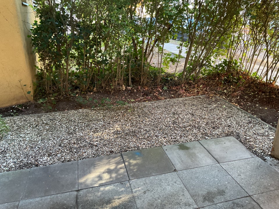 Einfach großartig - Ihr neues Zuhause mit Garten !! - Foto 2