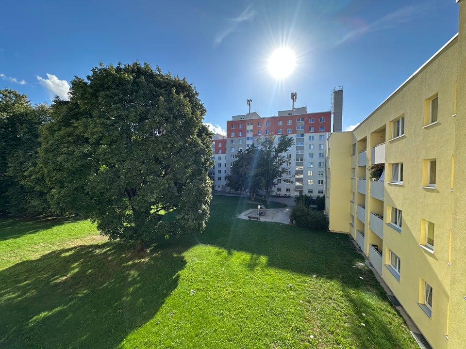 Frisch saniert! 2-Zimmer-Wohnung mit Balkon - Foto 2