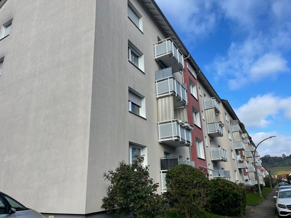 Reinkommen und Wohlfühlen: weitläufige 3-Zimmer-Wohnung - Photo 2