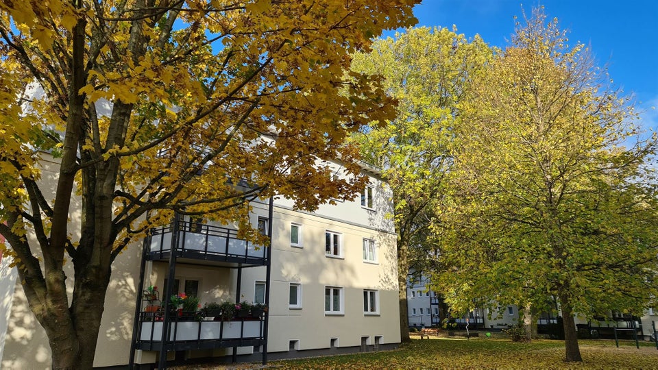 Komplett renoviert: zentrale 2-Zimmer-Wohnung - Photo 2