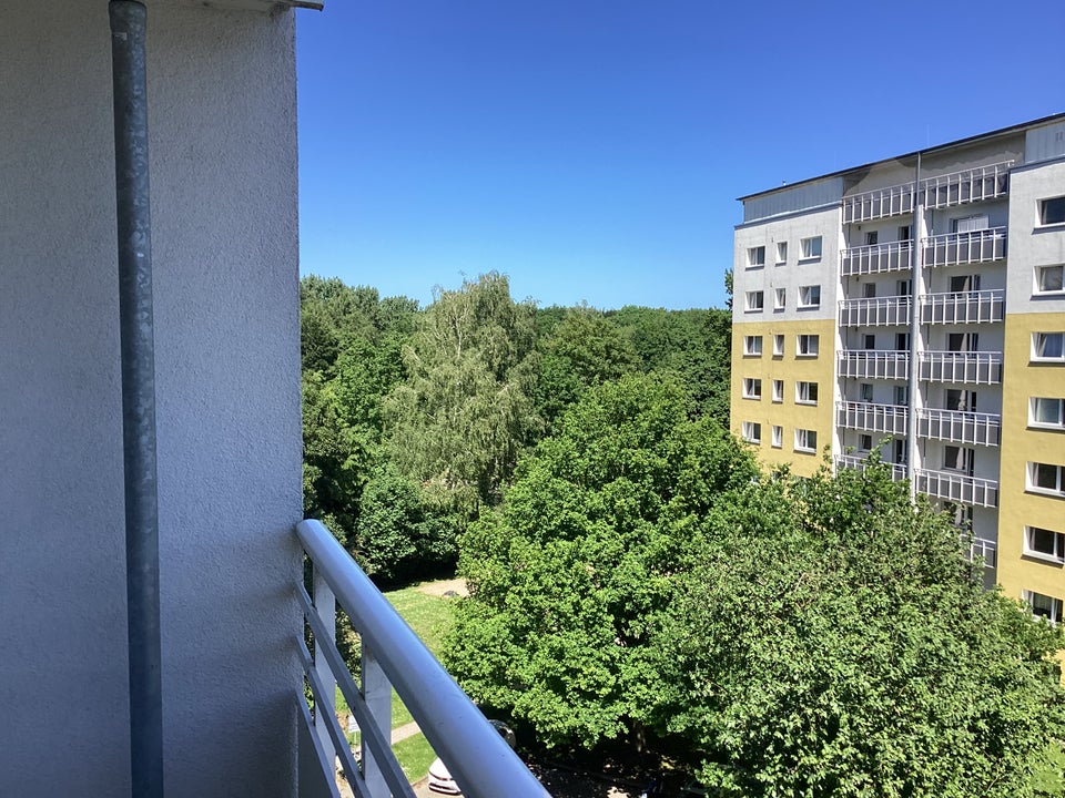 Ein tolles Wohngefühl: 1-Zimmer-Single-Appartment, frisch saniert und sofort anmietbar! - Photo 3