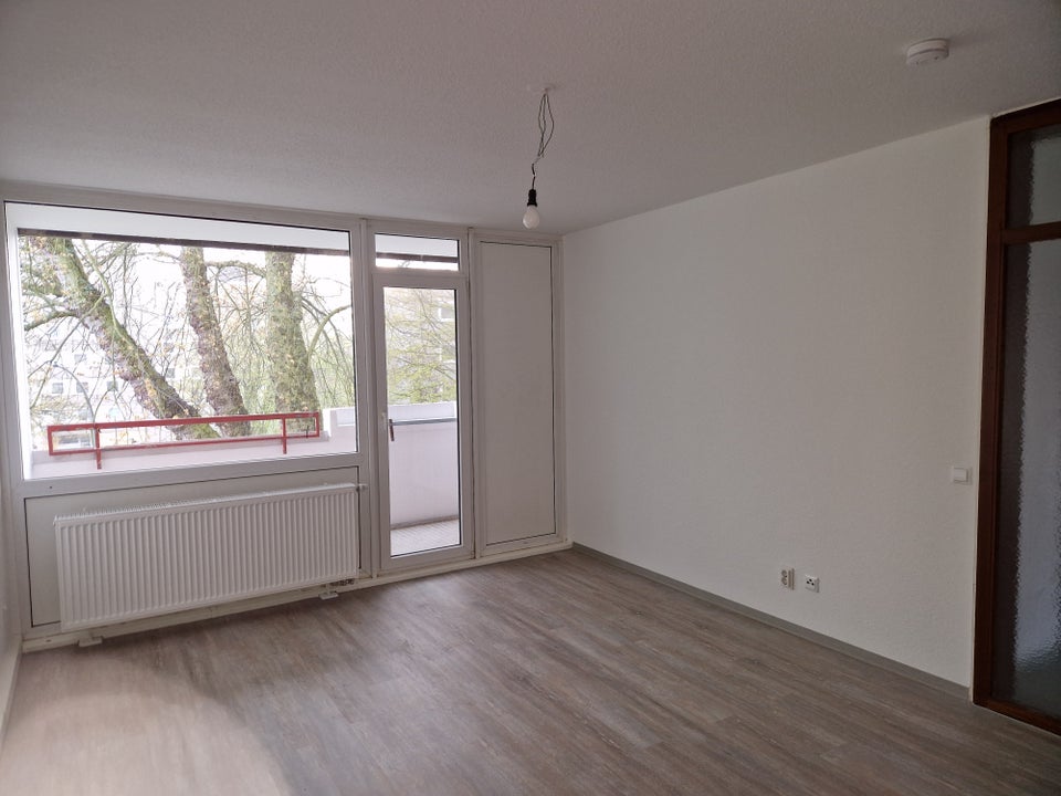 Erstbezug nach erfolgreicher Strangsanierung! komplett renovierte 3-Zimmer-Wohnung - Photo 3