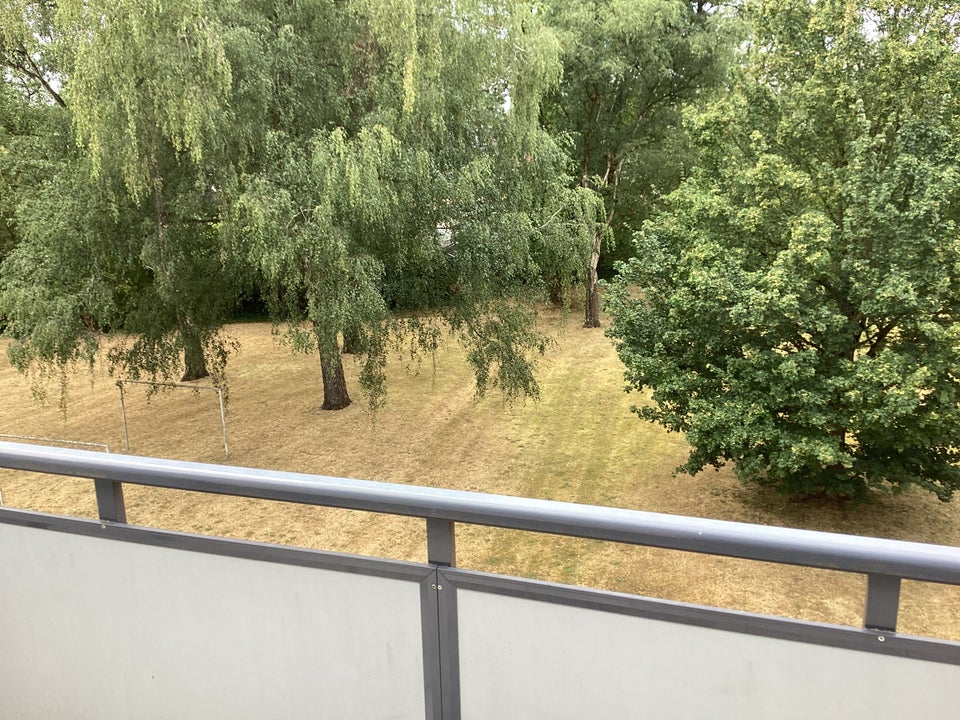 2,5 Zimmerwohnung mit großen Balkon in Heßler. - Foto 4